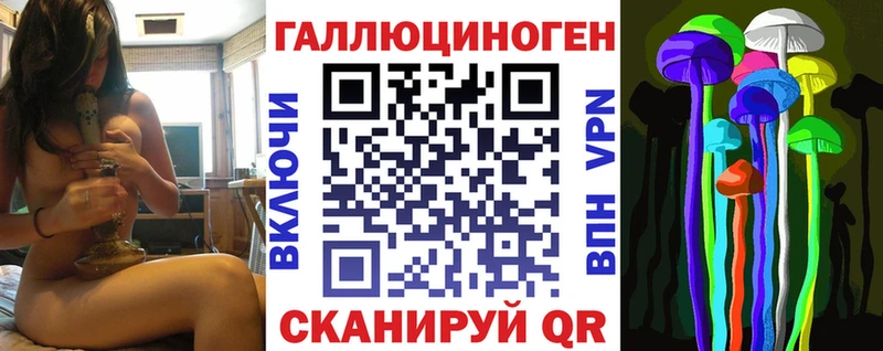 Купить закладки  Константиновск  Галлюциногенные грибы Psilocybe 